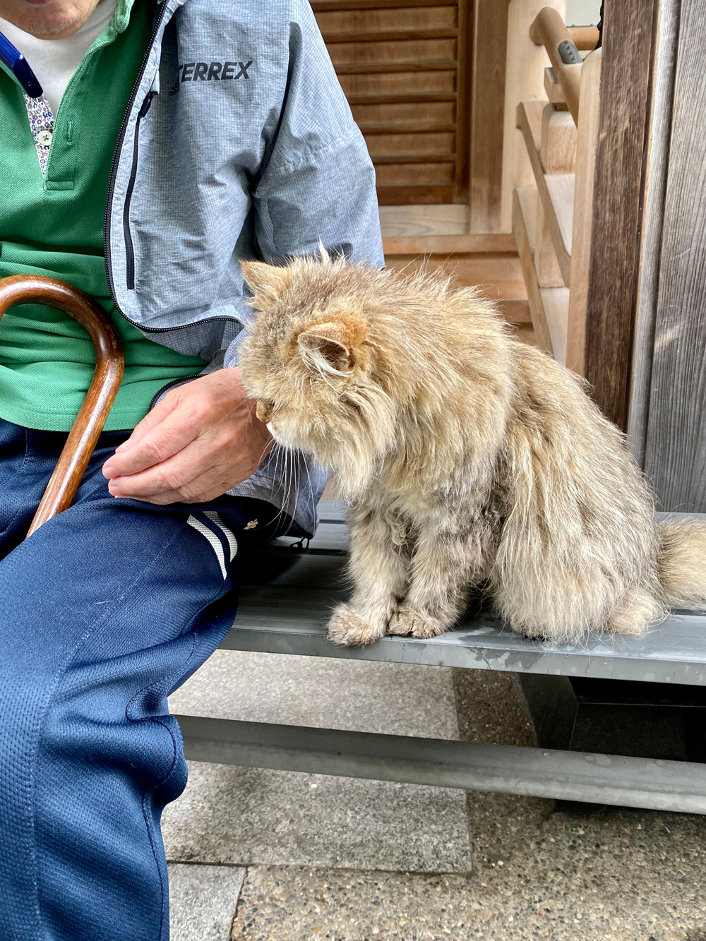 東京都港区Y様(70代男性)