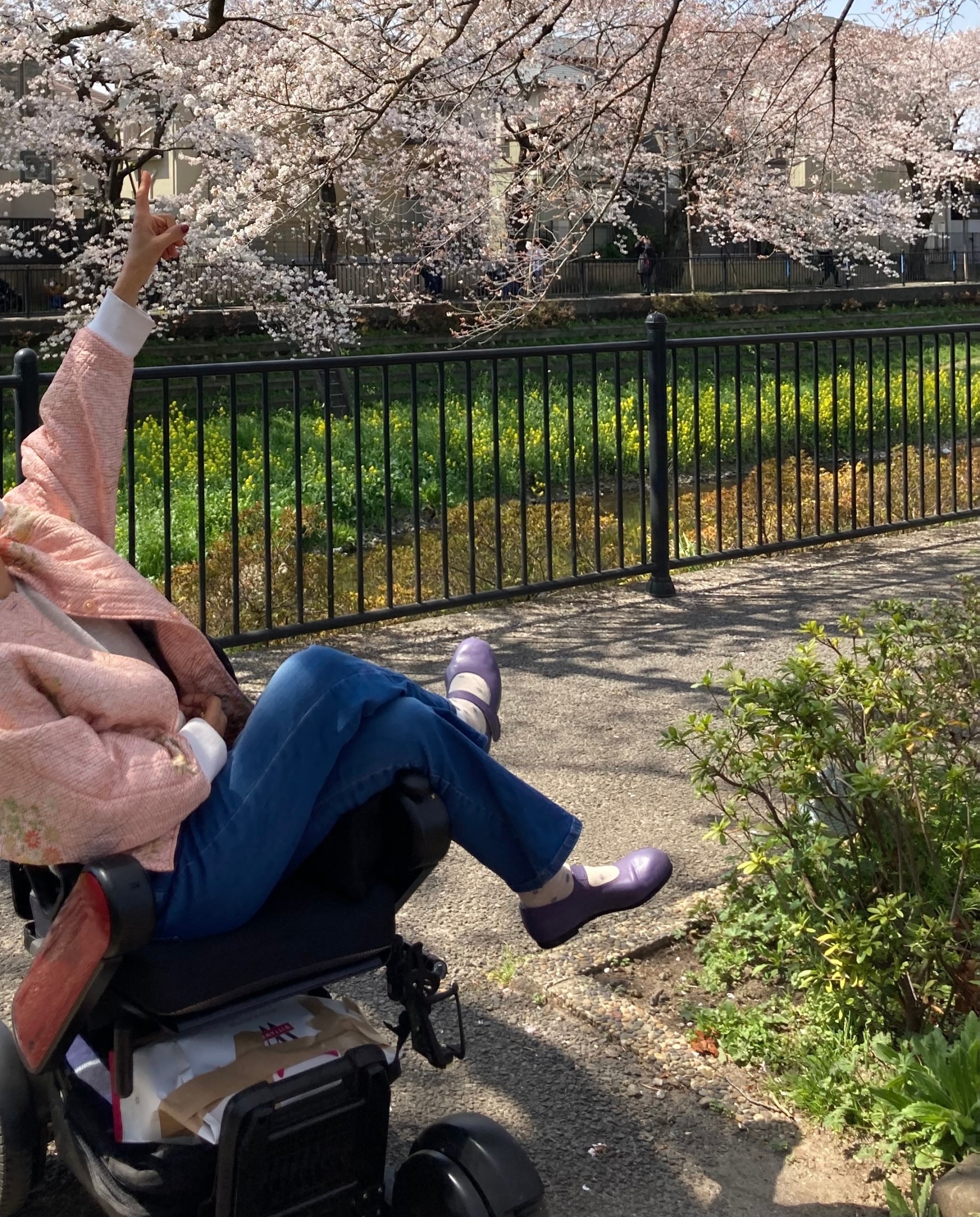 東京都世田谷区M様(60代女性)